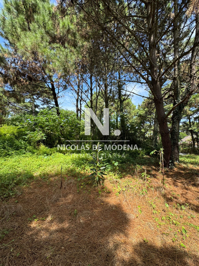 Lugano - GoPunta - Portal Inmobiliario de Punta del Este - Maldonado