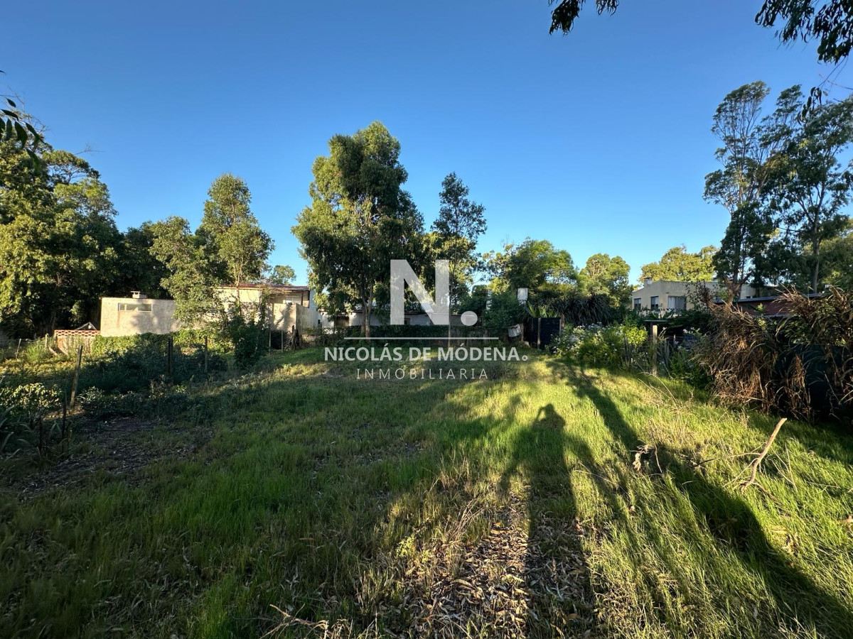 Balneario Buenos Aires - GoPunta - Portal Inmobiliario de Punta del Este - Maldonado