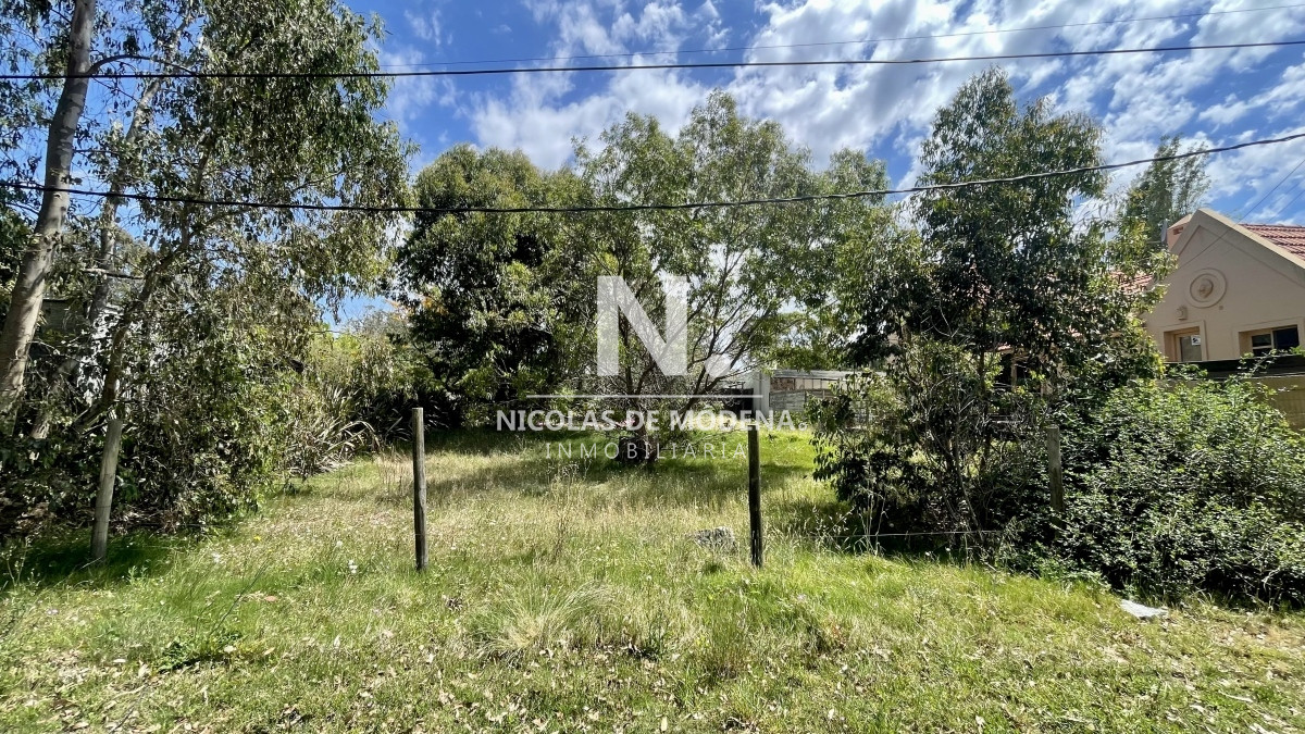 El Tesoro - GoPunta - Portal Inmobiliario de Punta del Este - Maldonado