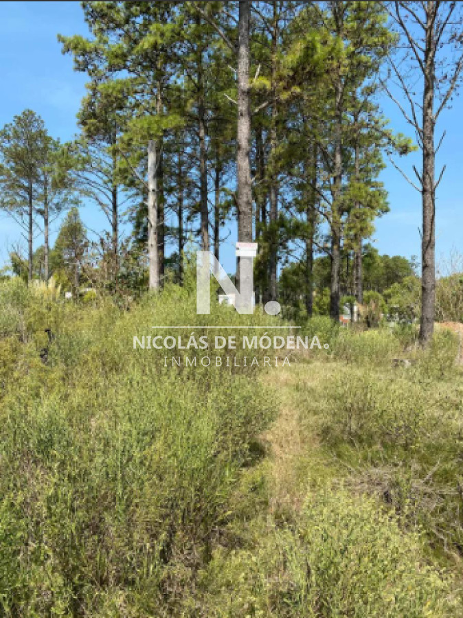 Altos de la Laguna - GoPunta - Portal Inmobiliario de Punta del Este - Maldonado