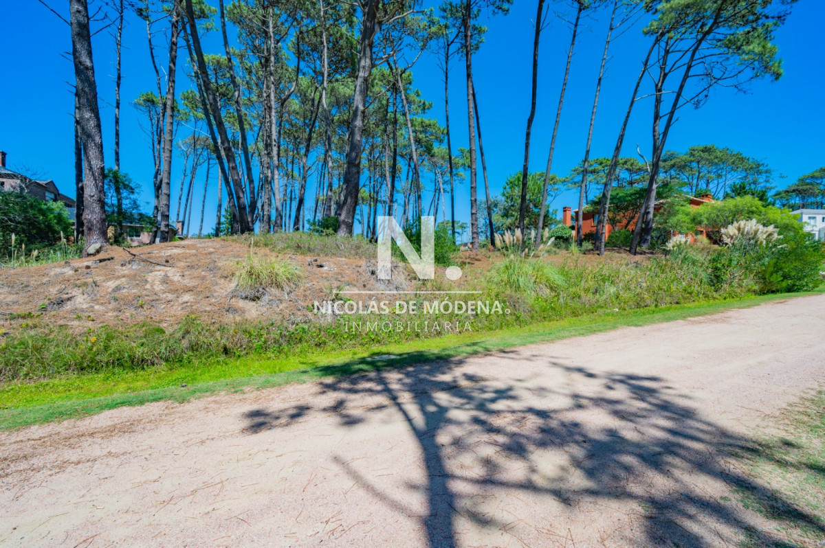 Laguna Blanca - GoPunta - Portal Inmobiliario de Punta del Este - Maldonado