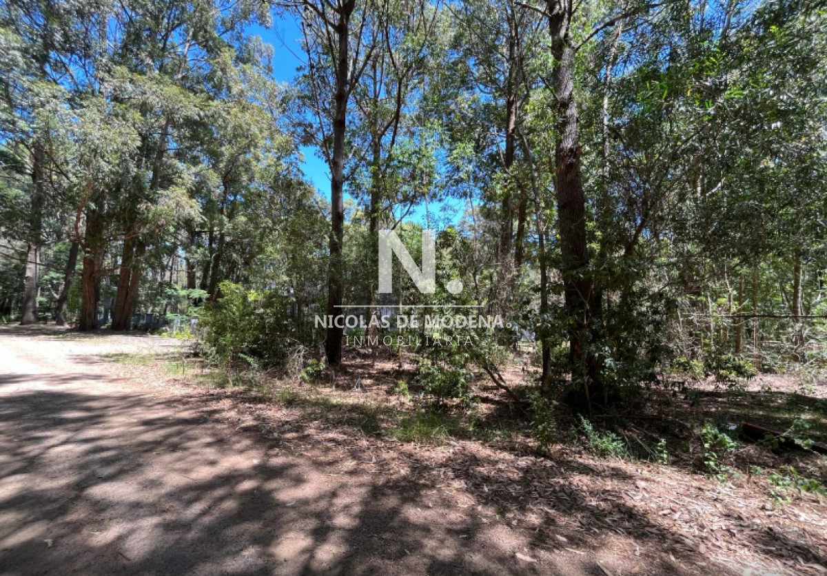Punta Ballena - GoPunta - Portal Inmobiliario de Punta del Este - Maldonado