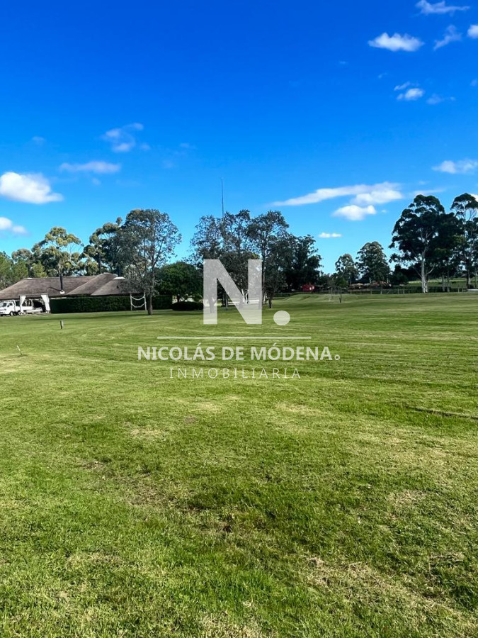 El Quijote - GoPunta - Portal Inmobiliario de Punta del Este - Maldonado