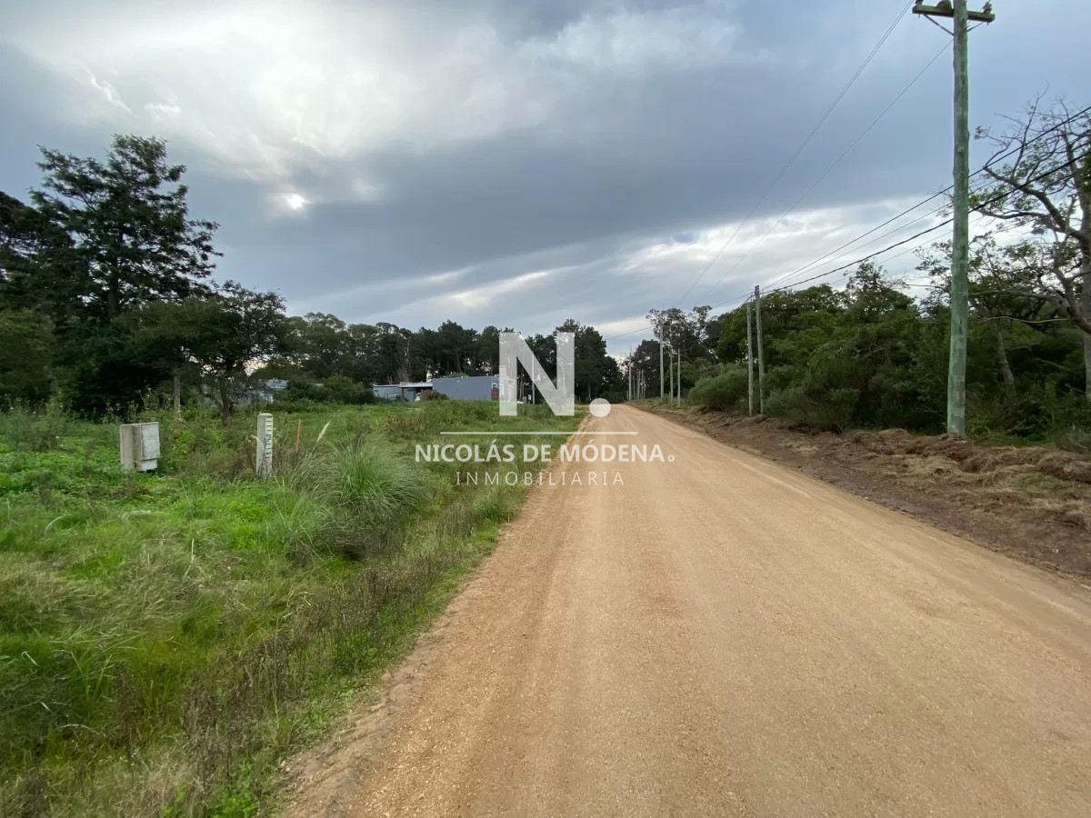 Punta Ballena - GoPunta - Portal Inmobiliario de Punta del Este - Maldonado