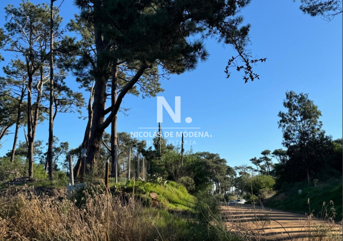 Barra Verde - GoPunta - Portal Inmobiliario de Punta del Este - Maldonado