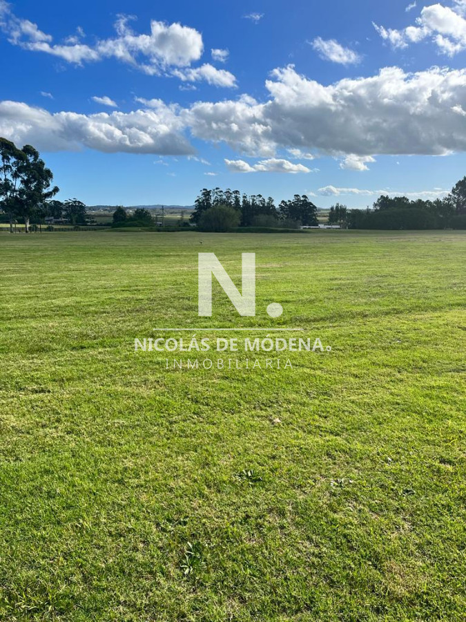 El Quijote - GoPunta - Portal Inmobiliario de Punta del Este - Maldonado