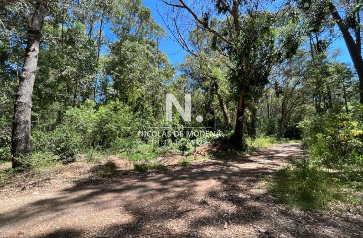Punta Ballena - GoPunta - Portal Inmobiliario de Punta del Este - Maldonado