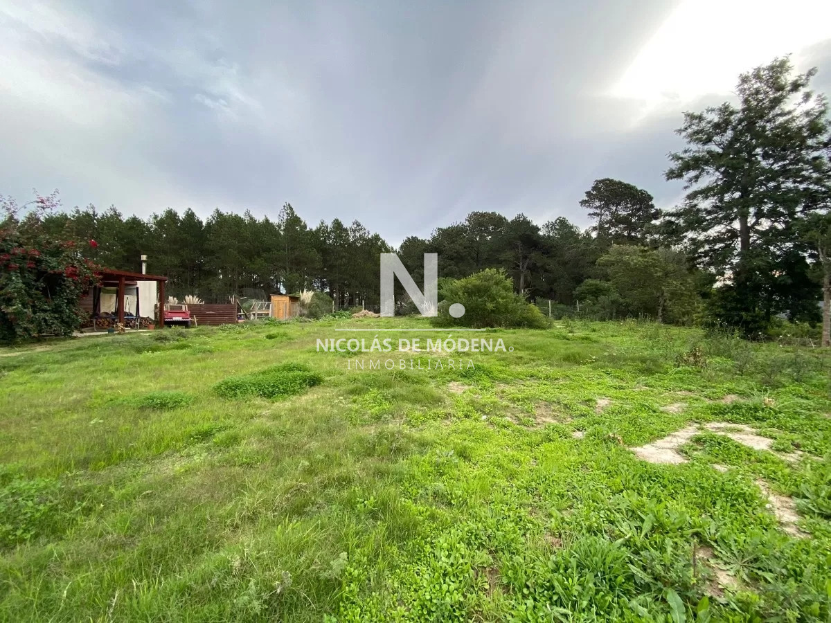 Punta Ballena - GoPunta - Portal Inmobiliario de Punta del Este - Maldonado