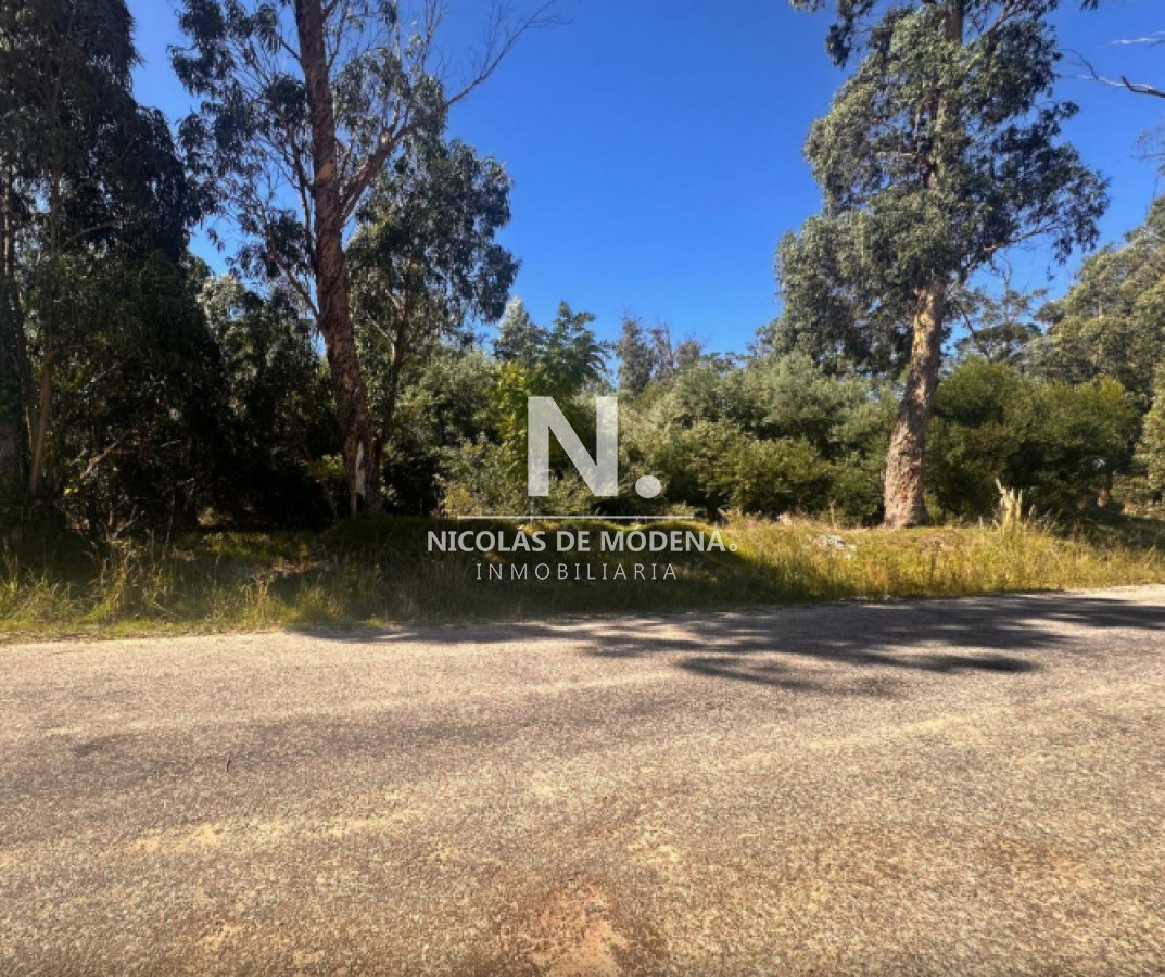 Marly - GoPunta - Portal Inmobiliario de Punta del Este - Maldonado
