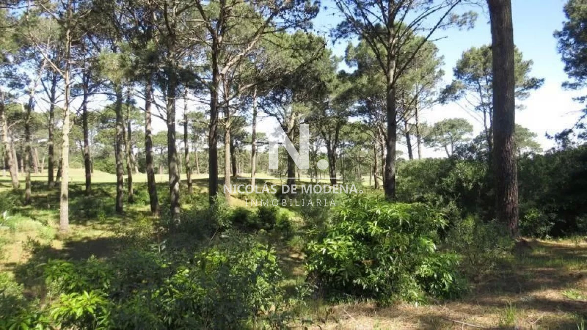 Club del Lago - GoPunta - Portal Inmobiliario de Punta del Este - Maldonado