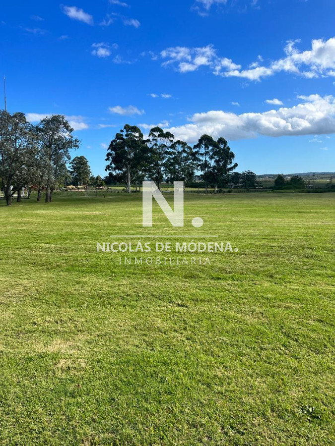 El Quijote - GoPunta - Portal Inmobiliario de Punta del Este - Maldonado