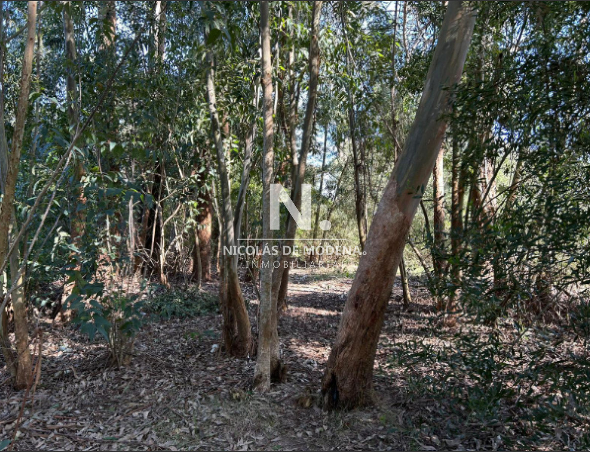 La Juanita - GoPunta - Portal Inmobiliario de Punta del Este - Maldonado