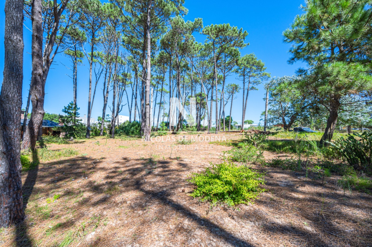 Propiedad - GoPunta - Portal Inmobiliario de Punta del Este - Maldonado