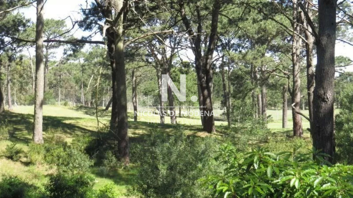 Club del Lago - GoPunta - Portal Inmobiliario de Punta del Este - Maldonado