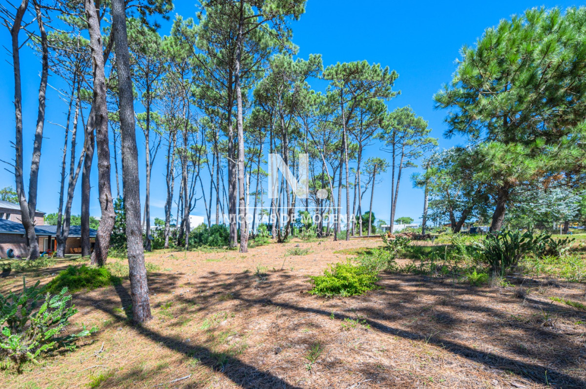 Laguna Blanca - GoPunta - Portal Inmobiliario de Punta del Este - Maldonado