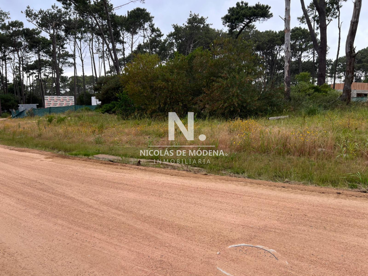 Montoya - GoPunta - Portal Inmobiliario de Punta del Este - Maldonado