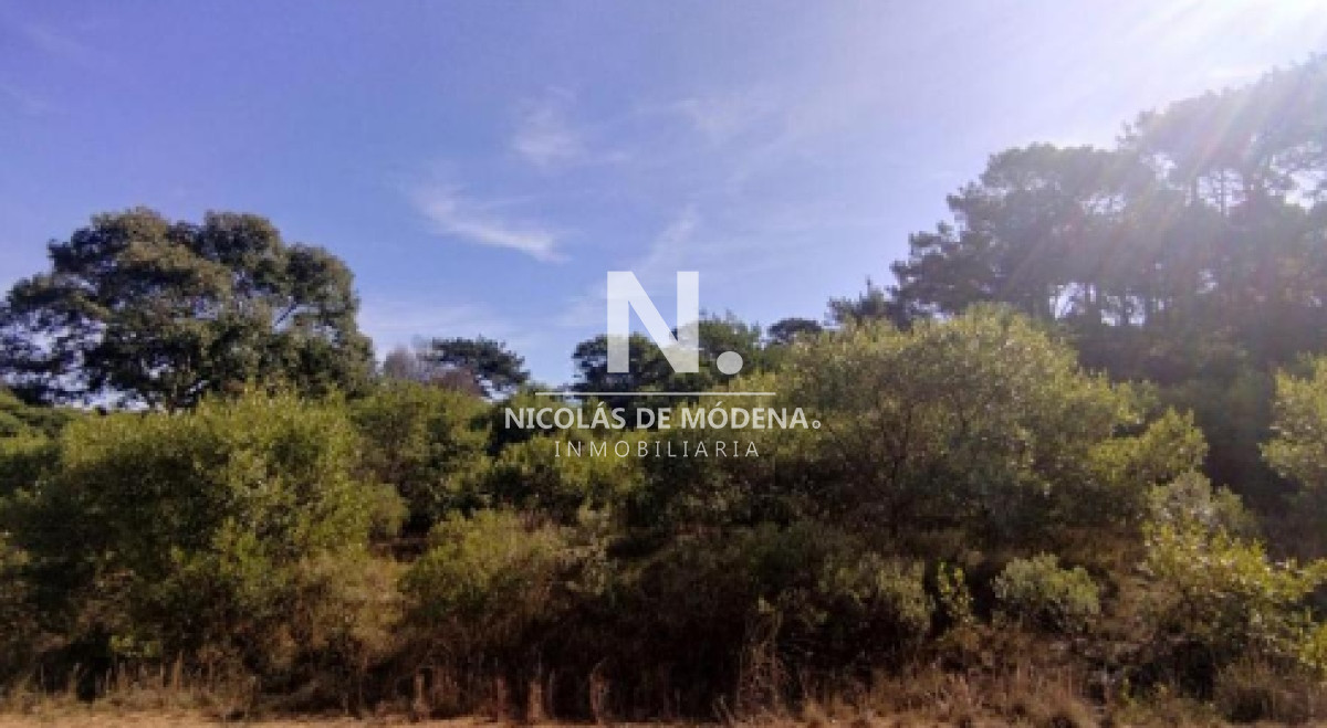 Club del Lago - GoPunta - Portal Inmobiliario de Punta del Este - Maldonado