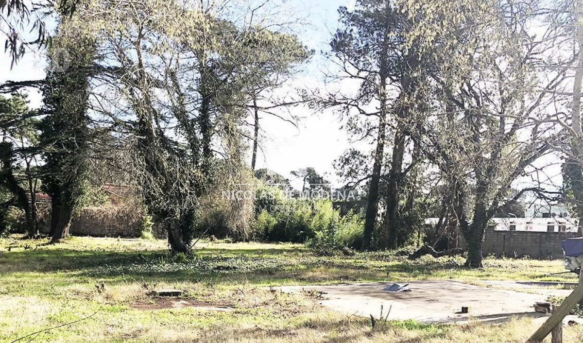 Terreno