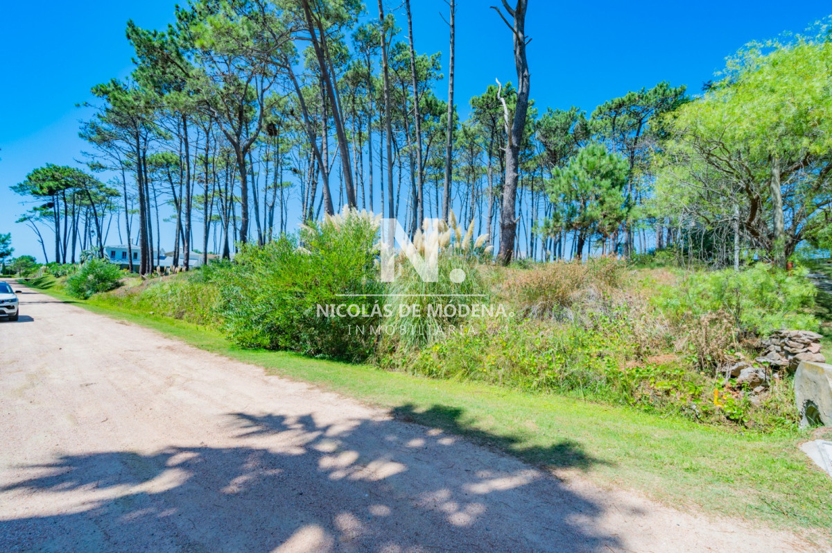 Laguna Blanca - GoPunta - Portal Inmobiliario de Punta del Este - Maldonado