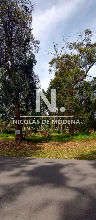 Marly - GoPunta - Portal Inmobiliario de Punta del Este - Maldonado