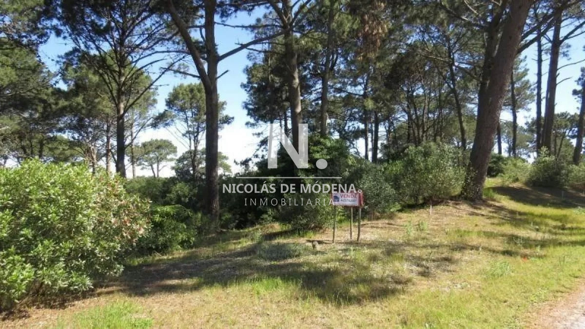 Club del Lago - GoPunta - Portal Inmobiliario de Punta del Este - Maldonado