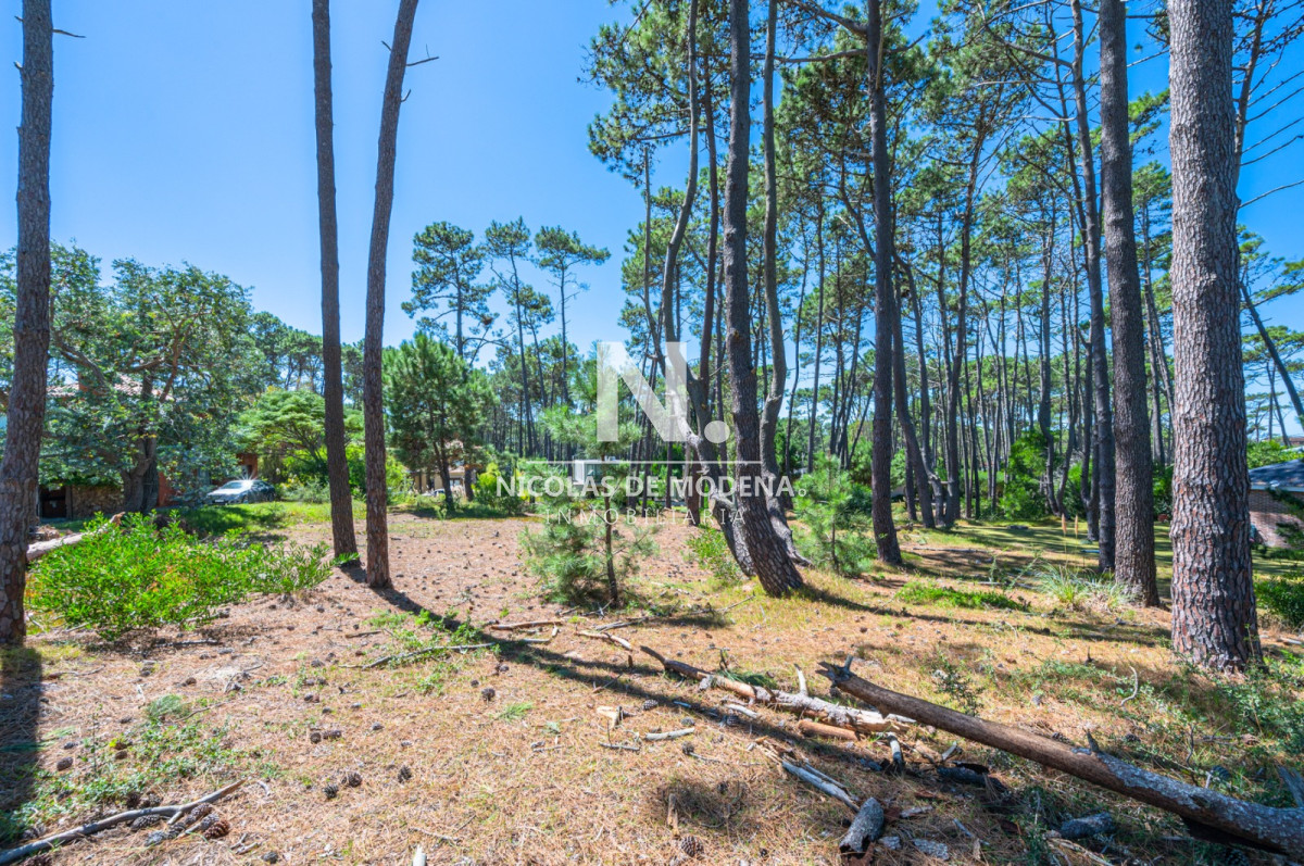 Propiedad - GoPunta - Portal Inmobiliario de Punta del Este - Maldonado