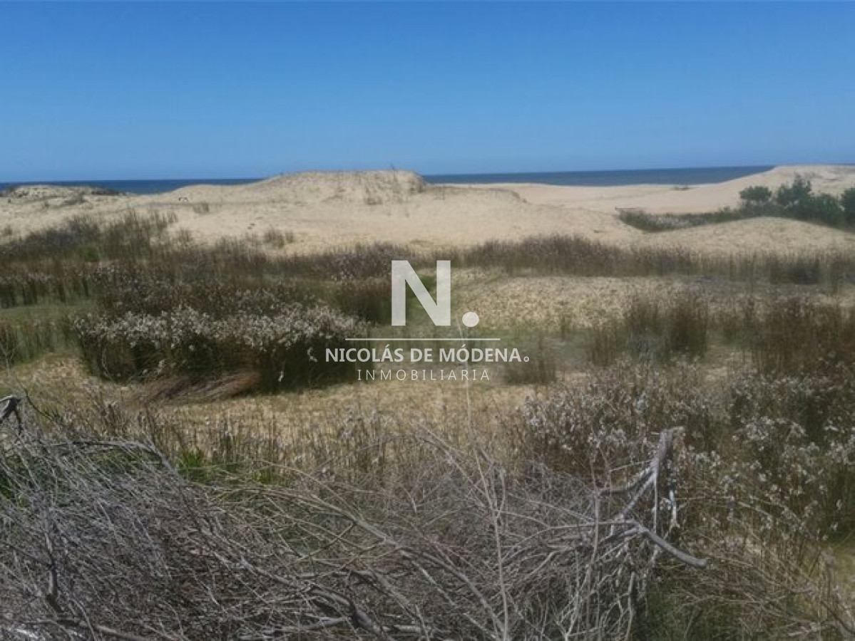 Ciudad de Rocha - GoPunta - Portal Inmobiliario de Punta del Este - Maldonado