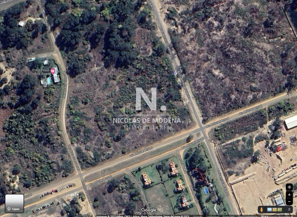 Brava - GoPunta - Portal Inmobiliario de Punta del Este - Maldonado