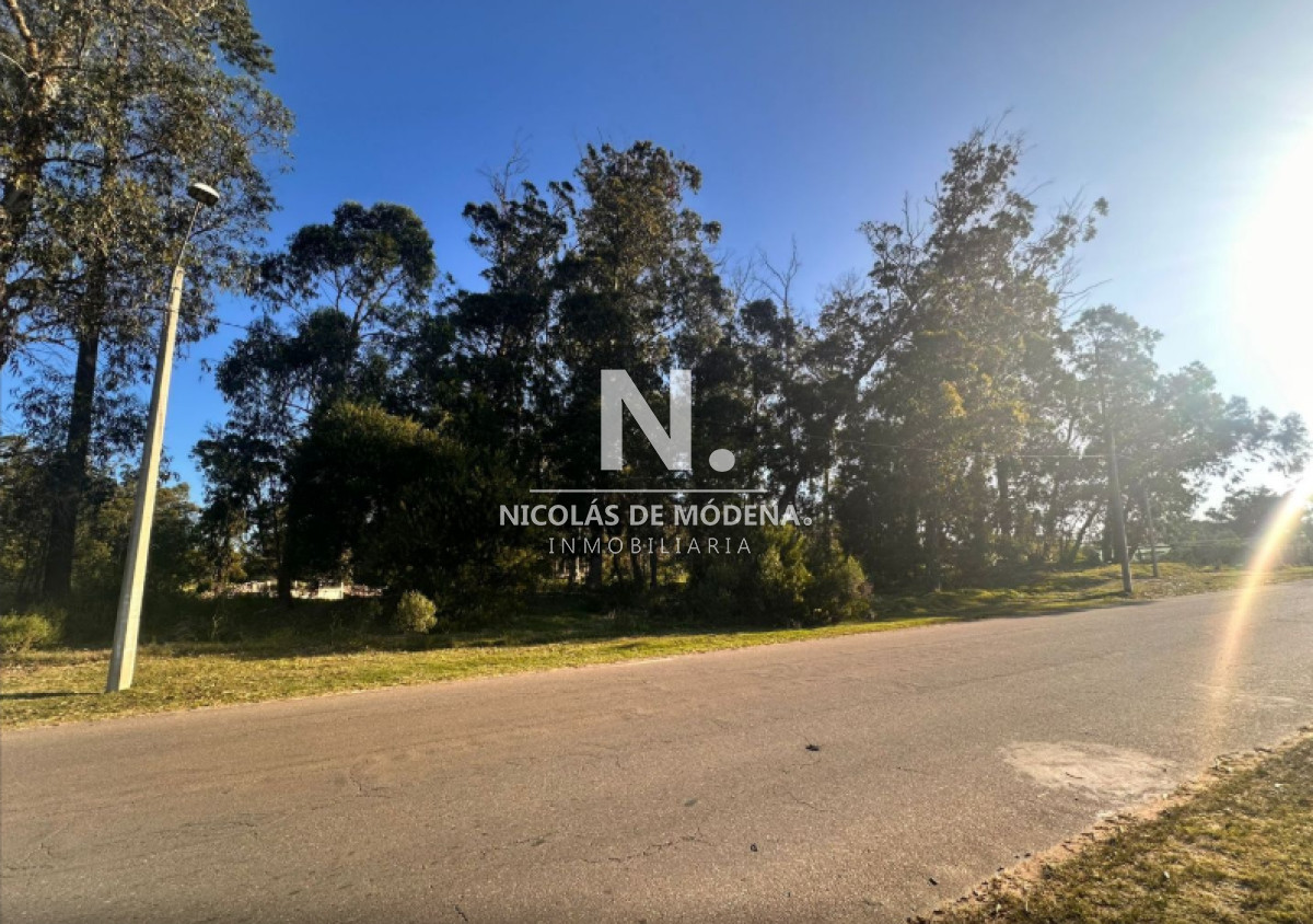 Marly - GoPunta - Portal Inmobiliario de Punta del Este - Maldonado