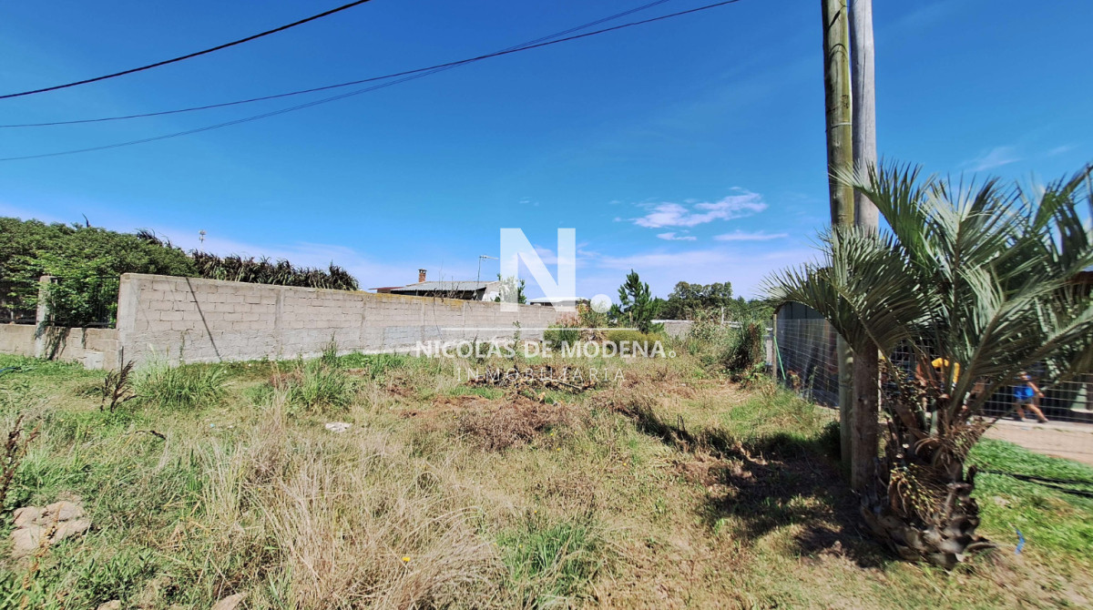 Altos de la Laguna - GoPunta - Portal Inmobiliario de Punta del Este - Maldonado