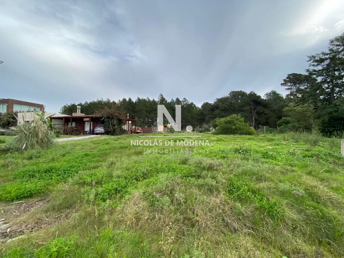 Punta Ballena - GoPunta - Portal Inmobiliario de Punta del Este - Maldonado