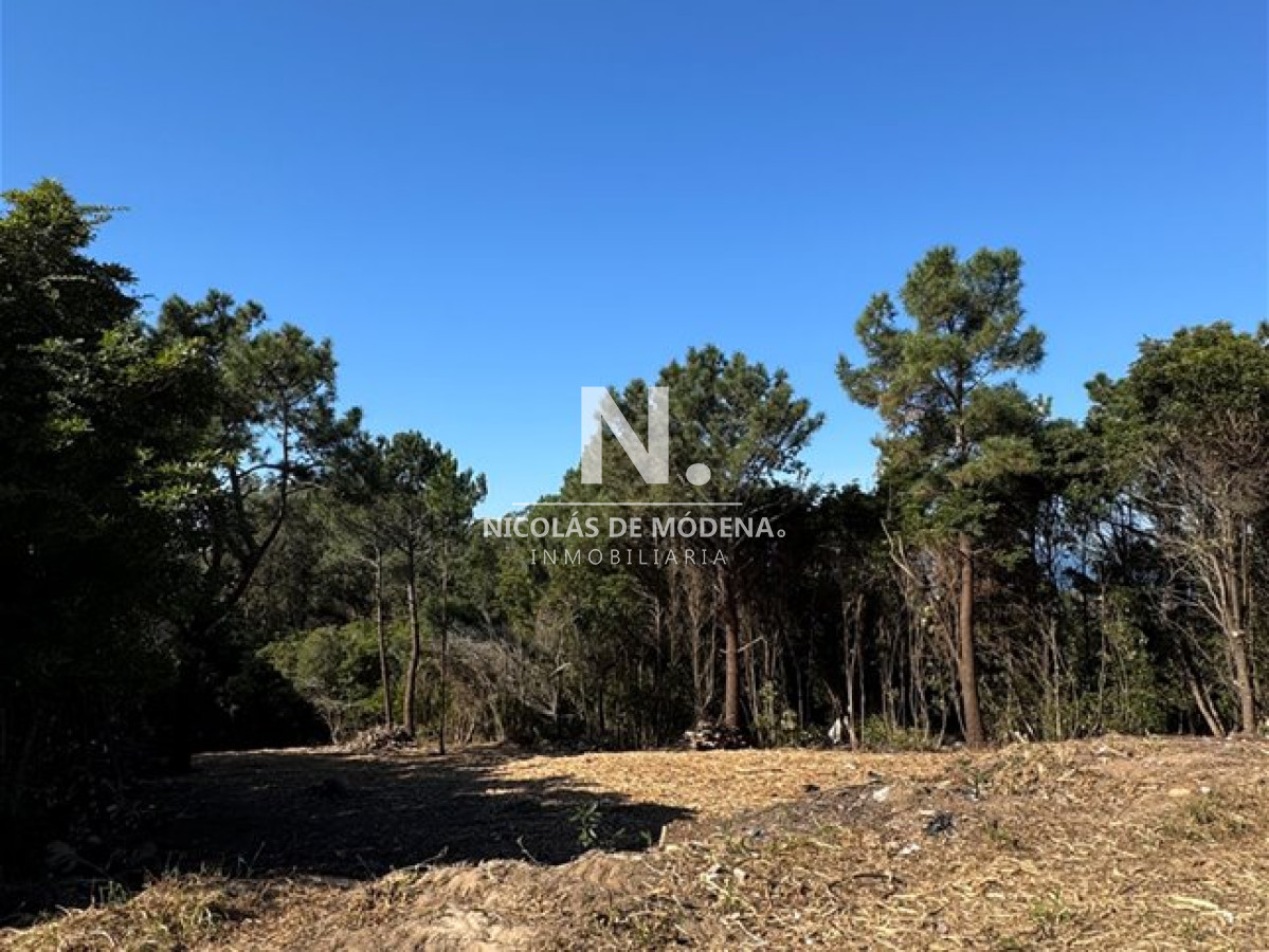 Lomo de la Ballena - GoPunta - Portal Inmobiliario de Punta del Este - Maldonado