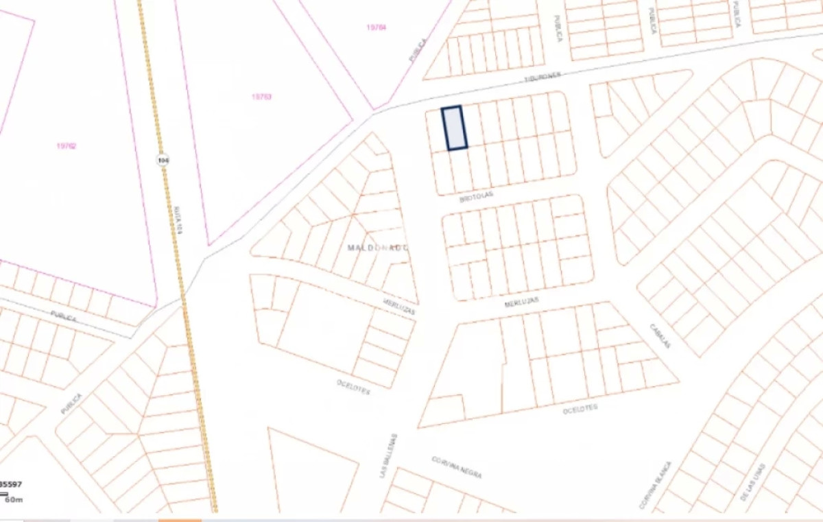 El Chorro - GoPunta - Portal Inmobiliario de Punta del Este - Maldonado