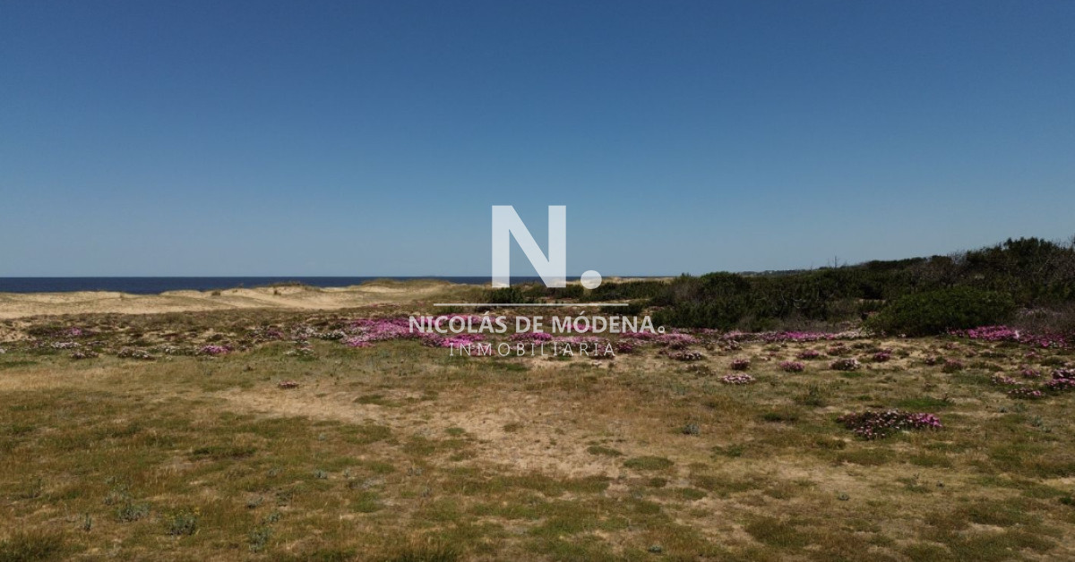 San Vicente - GoPunta - Portal Inmobiliario de Punta del Este - Maldonado