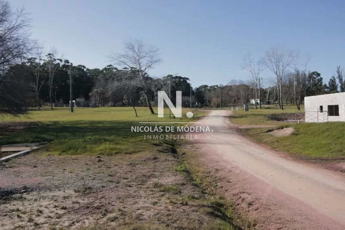Punta Ballena - GoPunta - Portal Inmobiliario de Punta del Este - Maldonado
