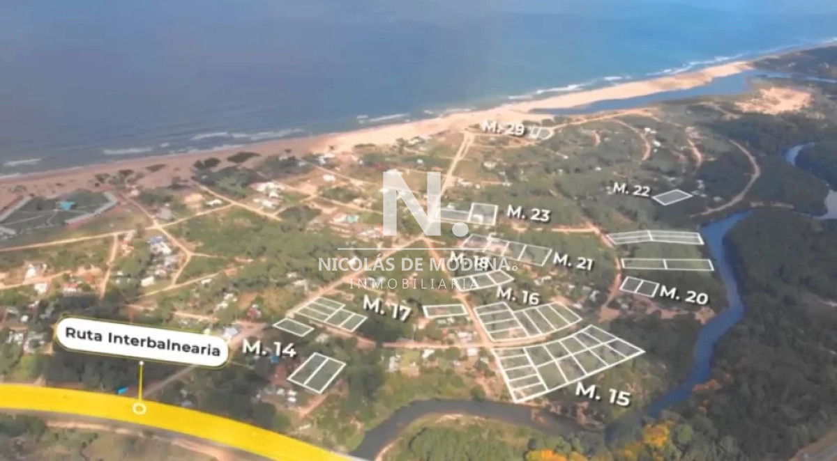 Chihuahua - GoPunta - Portal Inmobiliario de Punta del Este - Maldonado
