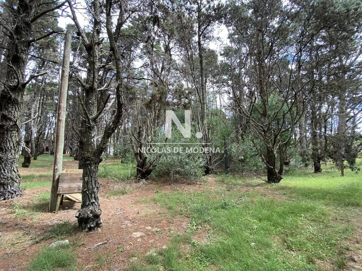 San Vicente - GoPunta - Portal Inmobiliario de Punta del Este - Maldonado