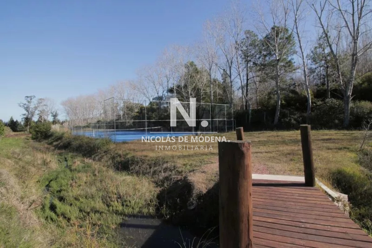 Punta Ballena - GoPunta - Portal Inmobiliario de Punta del Este - Maldonado