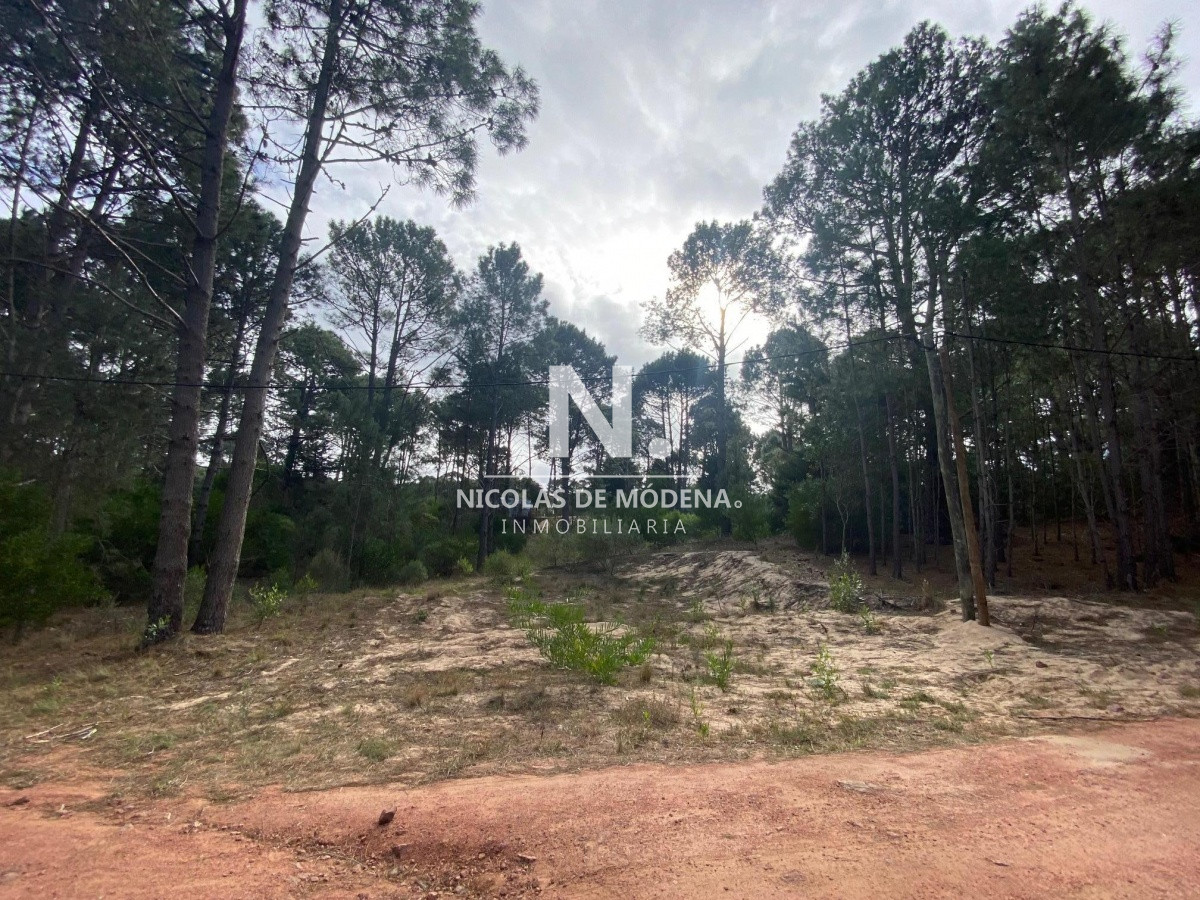 Club del Lago - GoPunta - Portal Inmobiliario de Punta del Este - Maldonado