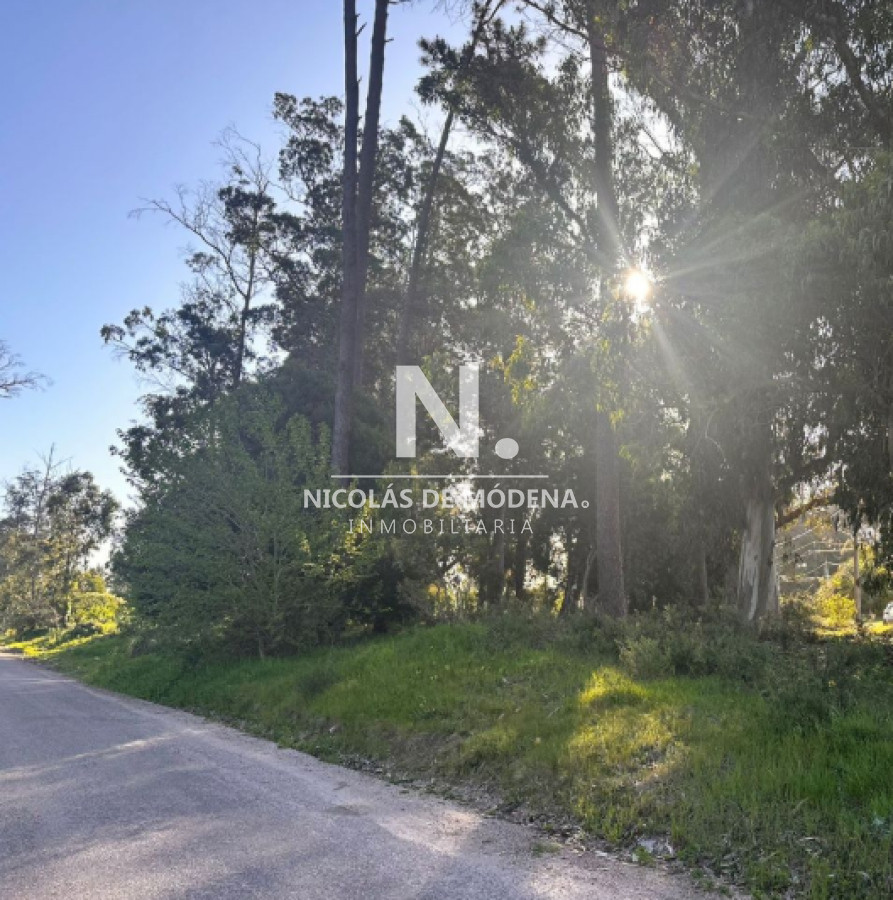 Marly - GoPunta - Portal Inmobiliario de Punta del Este - Maldonado
