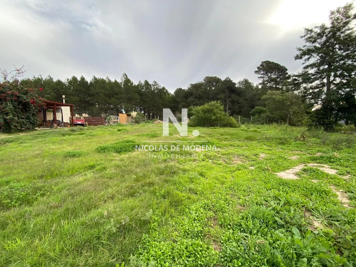 Punta Ballena - GoPunta - Portal Inmobiliario de Punta del Este - Maldonado