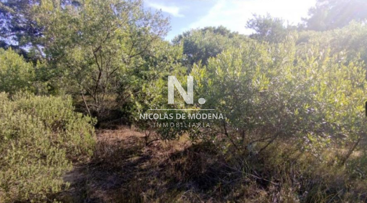 Club del Lago - GoPunta - Portal Inmobiliario de Punta del Este - Maldonado