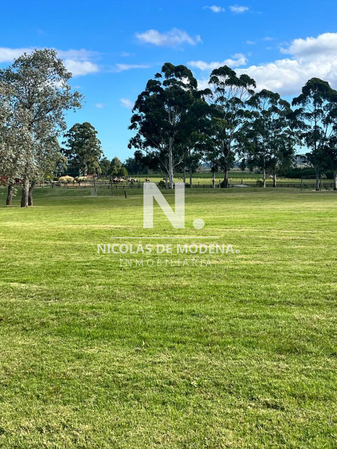 El Quijote - GoPunta - Portal Inmobiliario de Punta del Este - Maldonado