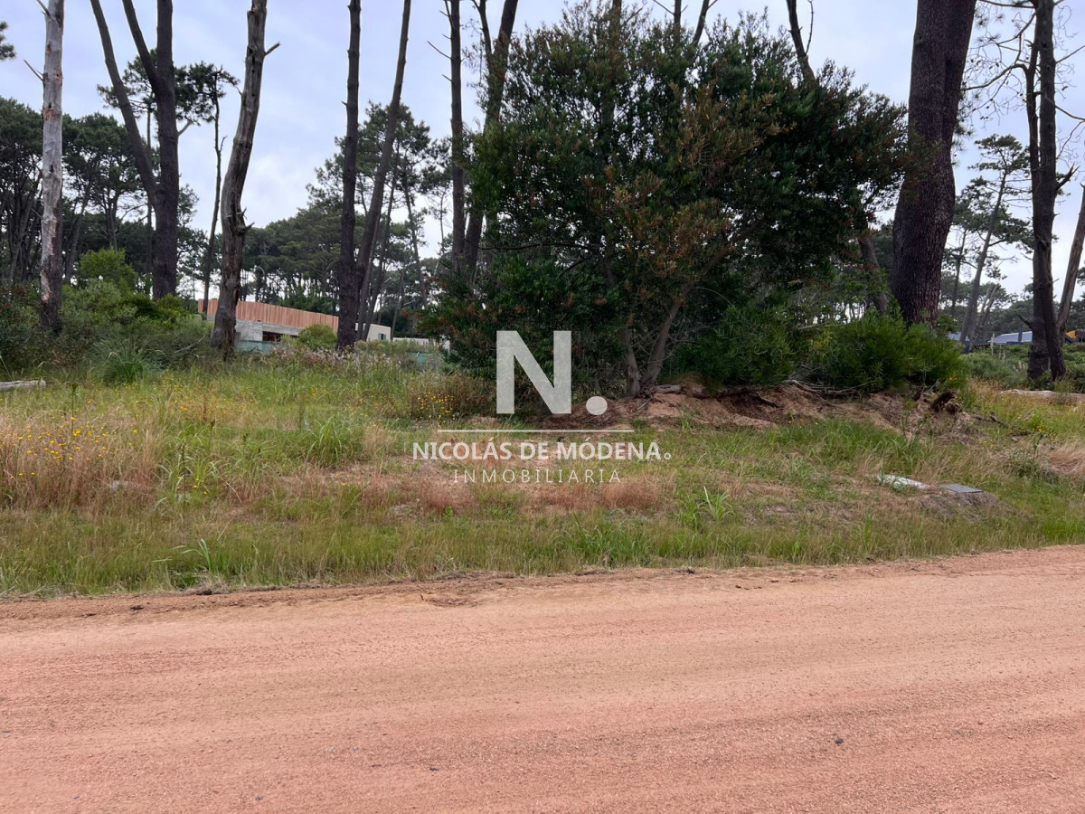 Montoya - GoPunta - Portal Inmobiliario de Punta del Este - Maldonado