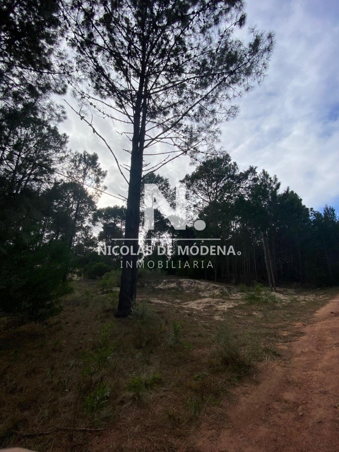 Club del Lago - GoPunta - Portal Inmobiliario de Punta del Este - Maldonado