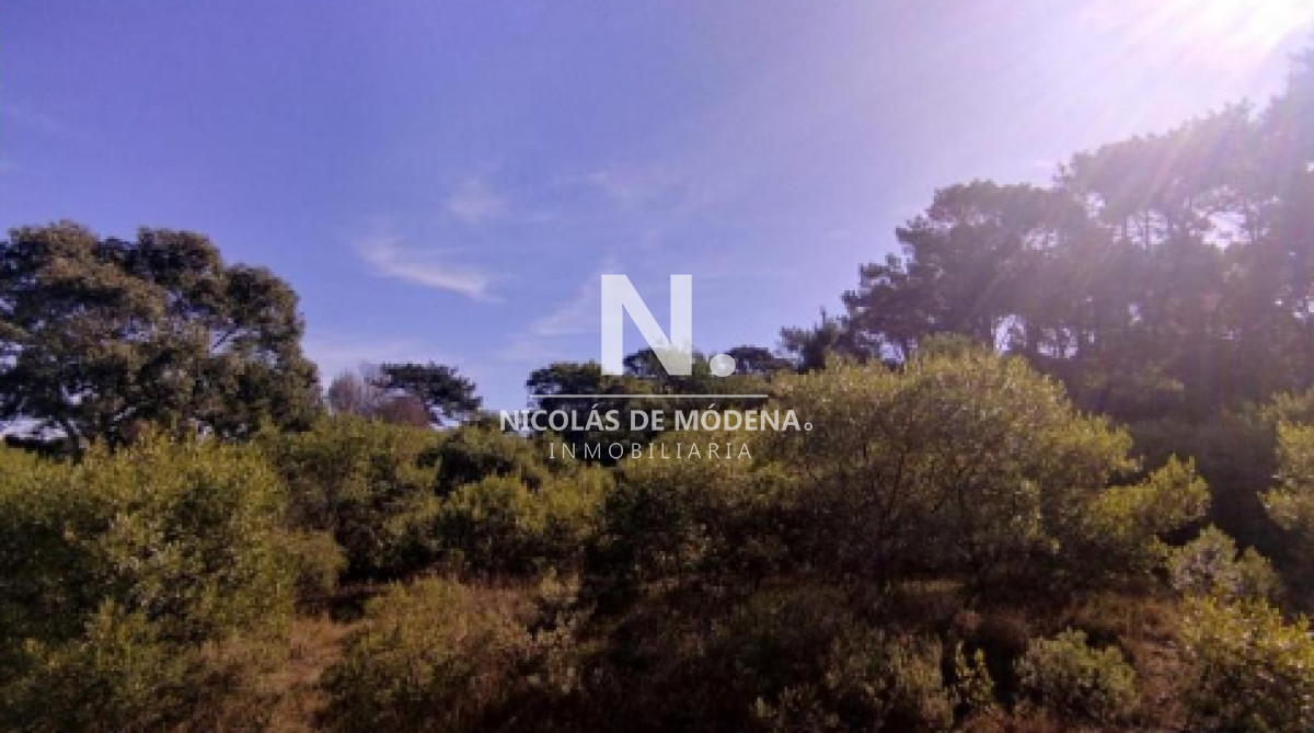 Club del Lago - GoPunta - Portal Inmobiliario de Punta del Este - Maldonado