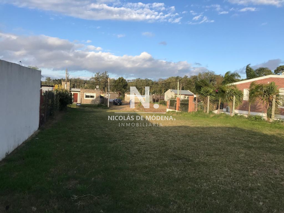 Terreno