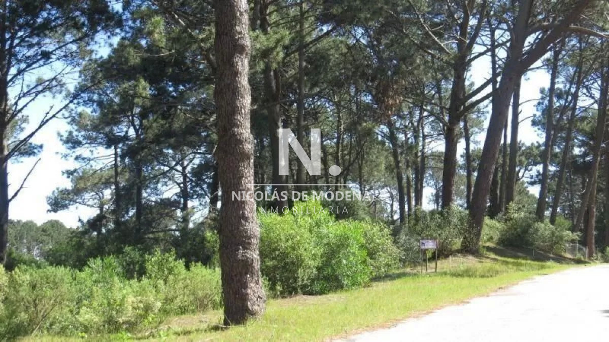 Club del Lago - GoPunta - Portal Inmobiliario de Punta del Este - Maldonado