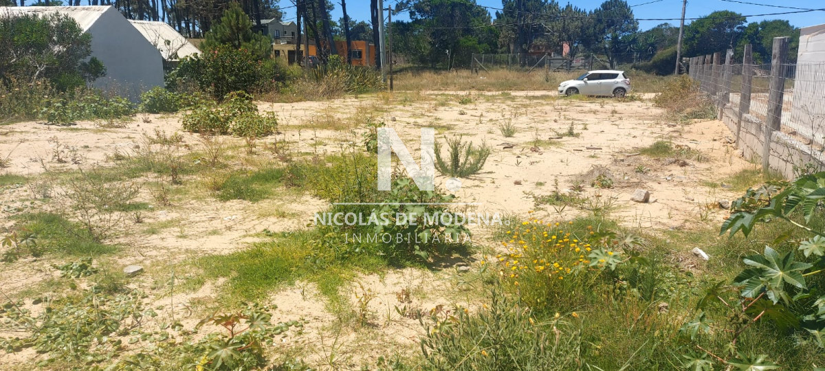 Balneario Buenos Aires - GoPunta - Portal Inmobiliario de Punta del Este - Maldonado