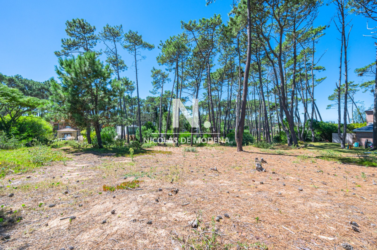 Propiedad - GoPunta - Portal Inmobiliario de Punta del Este - Maldonado